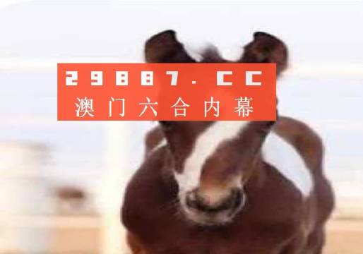 澳门一肖一码100%精准,精密解答解释落实_SP49.966