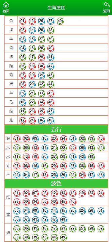 2024年11月9日 第49页