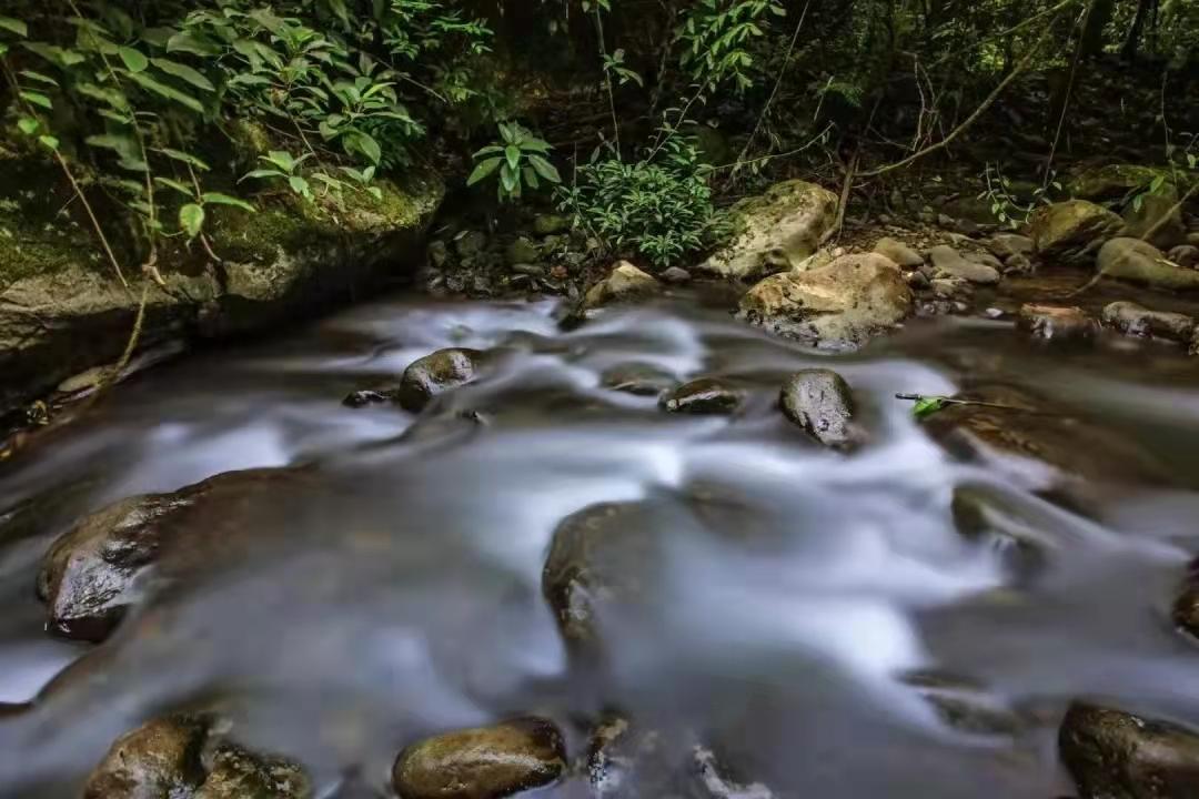 一款弱碱性天然矿泉水引热议v,最新热门解答落实_游戏版256.184