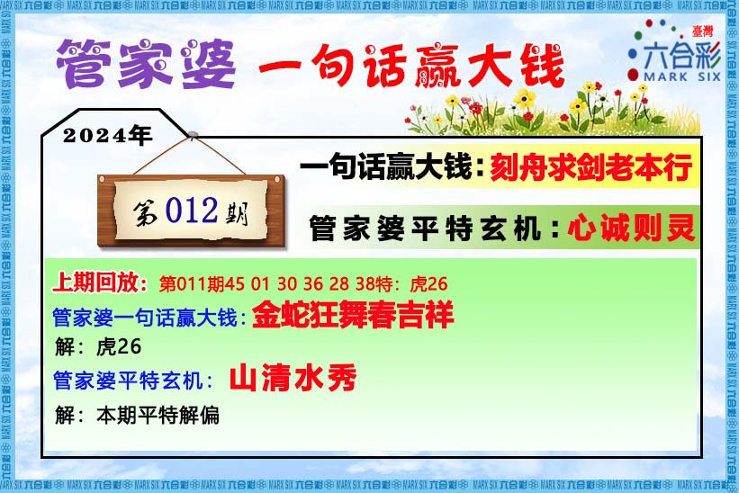 2004管家婆一肖一码澳门码,涵盖了广泛的解释落实方法_豪华版180.300