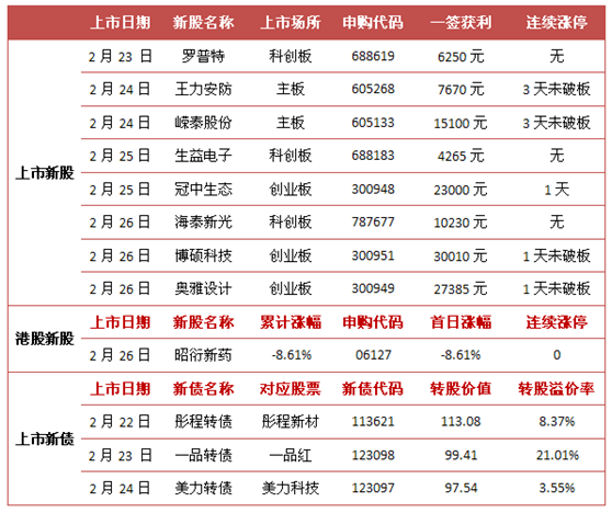 2024年11月21日 第4页