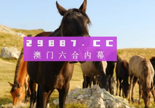 澳门管家婆一肖一码一中一,最新核心解答落实_豪华版180.300