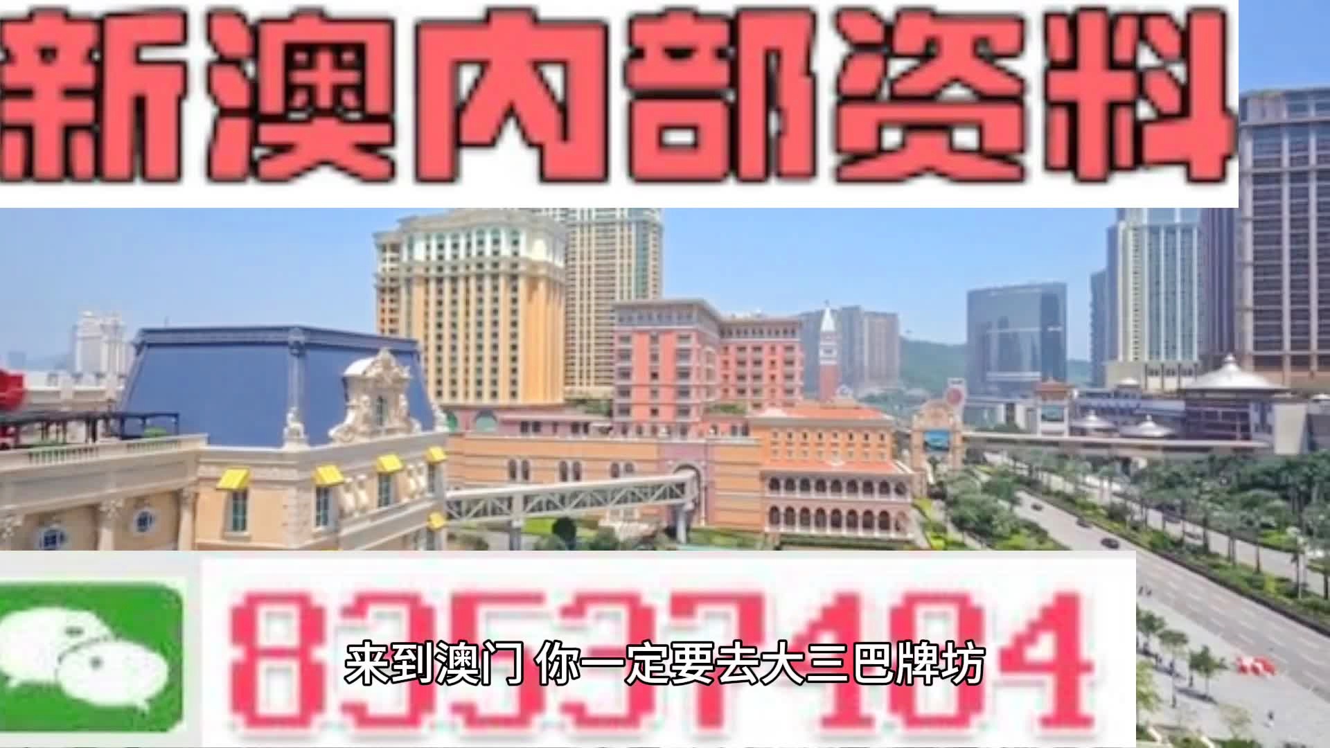 2024年11月23日 第17页