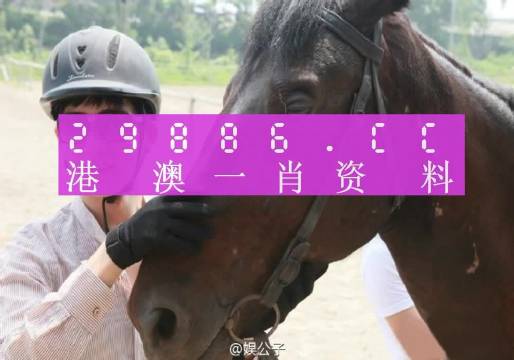 今晚澳门必中一肖一码适,问题解答解释落实_黄金版34.84.90